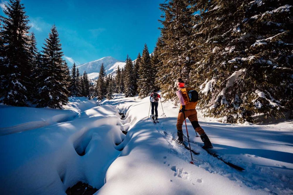 Activitati la munte - ce lucruri pline de adrenalina poti face in urmatoarea ta excursie la munte in sezonul rece